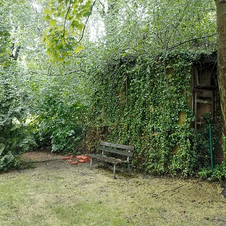 Park - #1-8 - Stilvolle Zentrumsnah * Λειψία